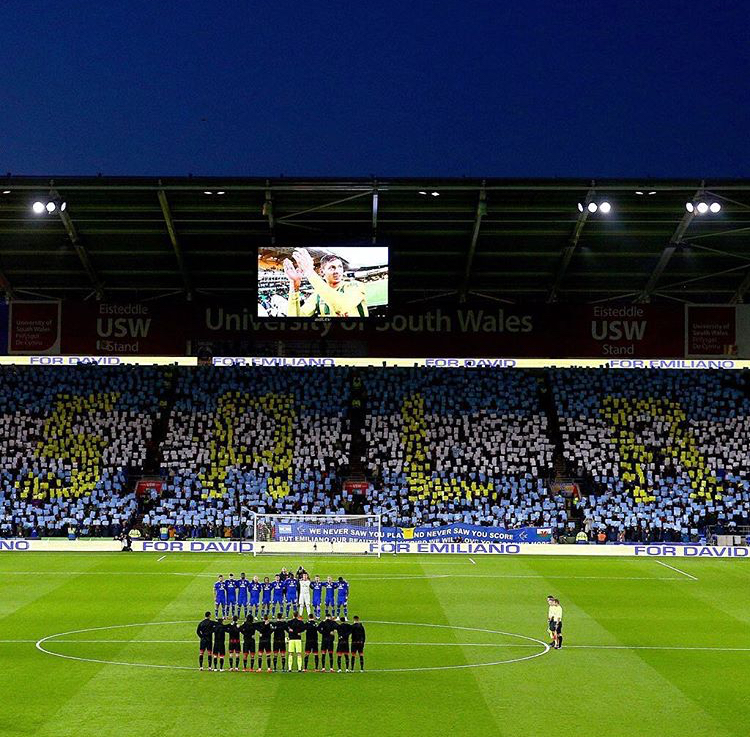 鑻辫秴鎸戣涓诲満鐞冭糠,鑴戞畫鐞冭糠