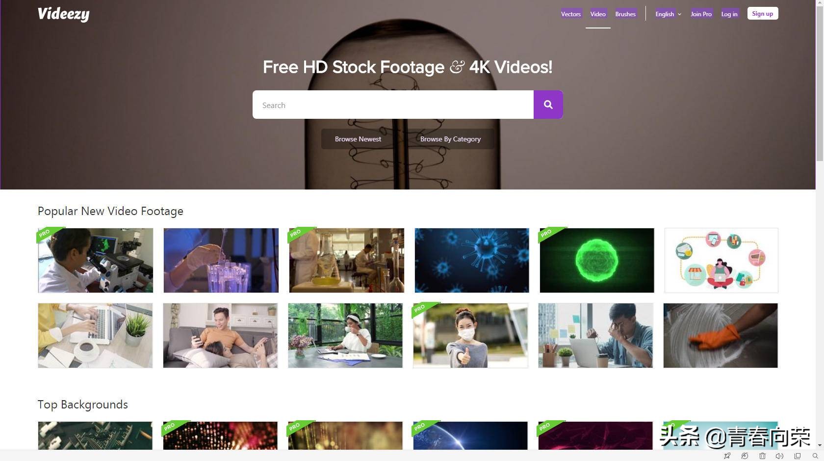 无版权,全免费！10个视频素材网站私藏汇总,助你快速晋升vlog达人