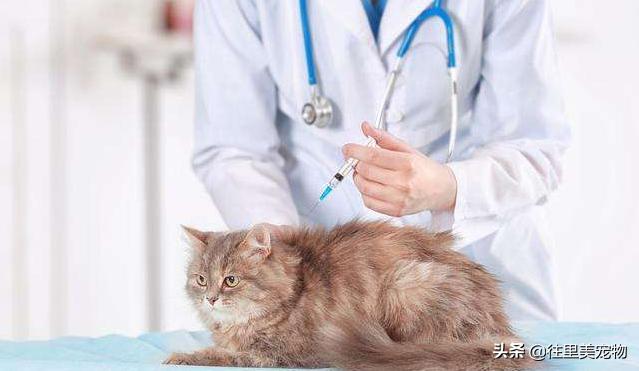 为什么疫苗打了还会感染新冠,为什么疫苗接种后还是疫情严重