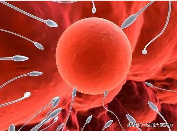 女性不孕不育原因,中医讲不孕不育的5大原因