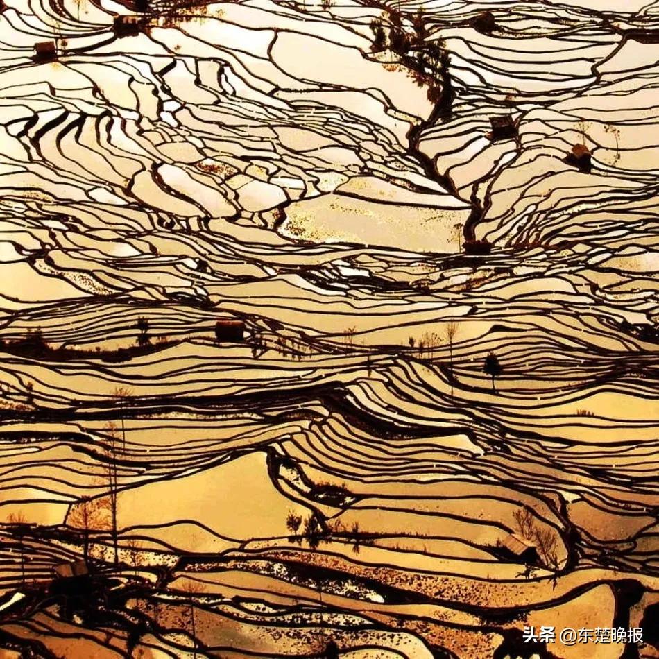 元阳梯田脱贫,红河哈尼族彝族自治州扶贫