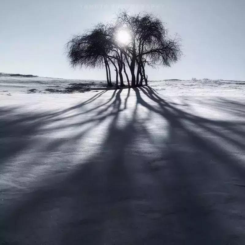 常用摄影构图方法,手机摄影构图