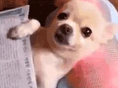 广州白云区洗脚按摩哪里好,广州越秀区按摩水疗哪家最好