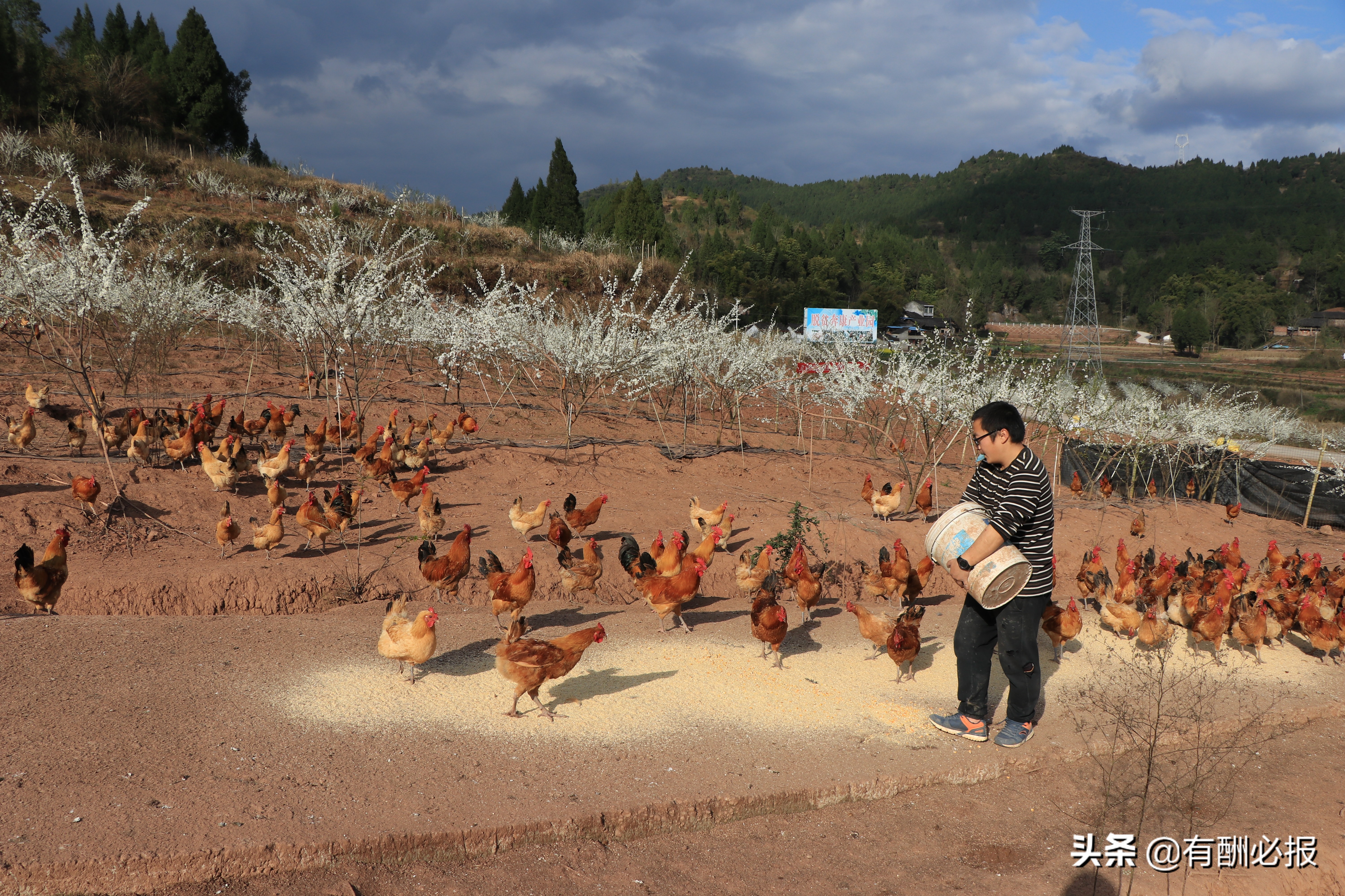 顺庆区共兴镇,顺庆区共兴镇工业园区