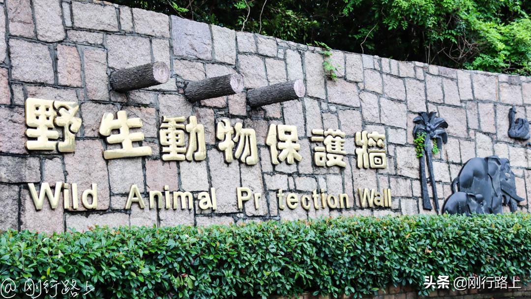 上海野生动物园攻略，一个适合亲子游玩的地方