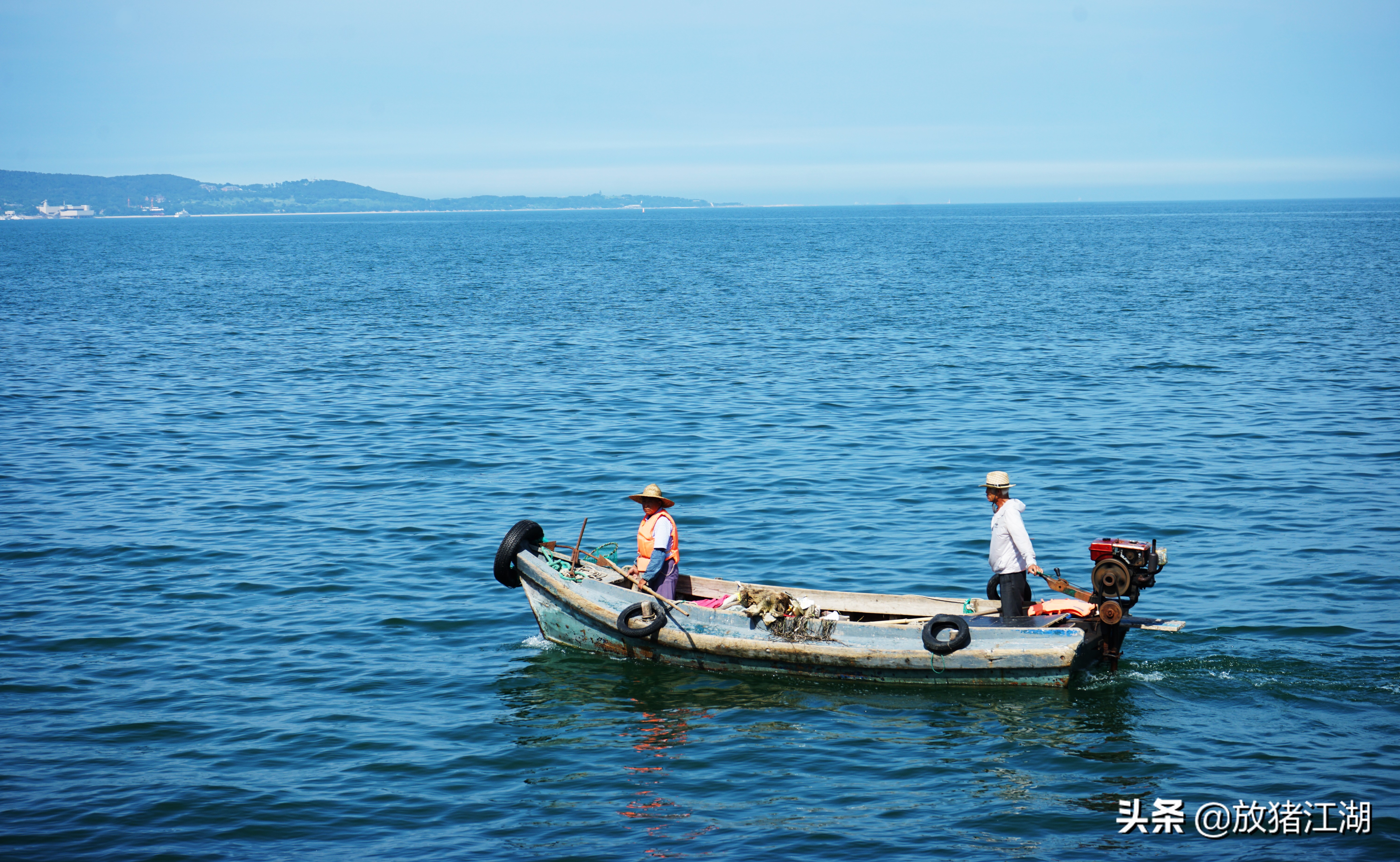 不要怀疑，威海公园中的这些木化石都是真品