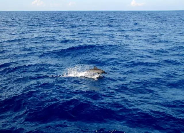 2019年全球必去的52个目的地,2023必去旅游地方排名