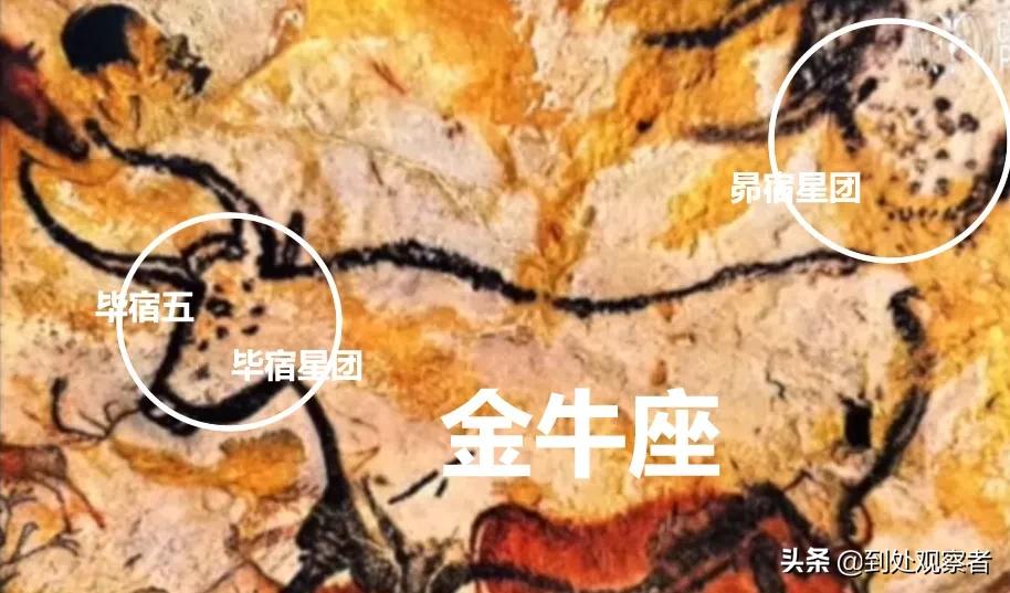 昴宿二外星人信息,昴宿二外星人信息汇总