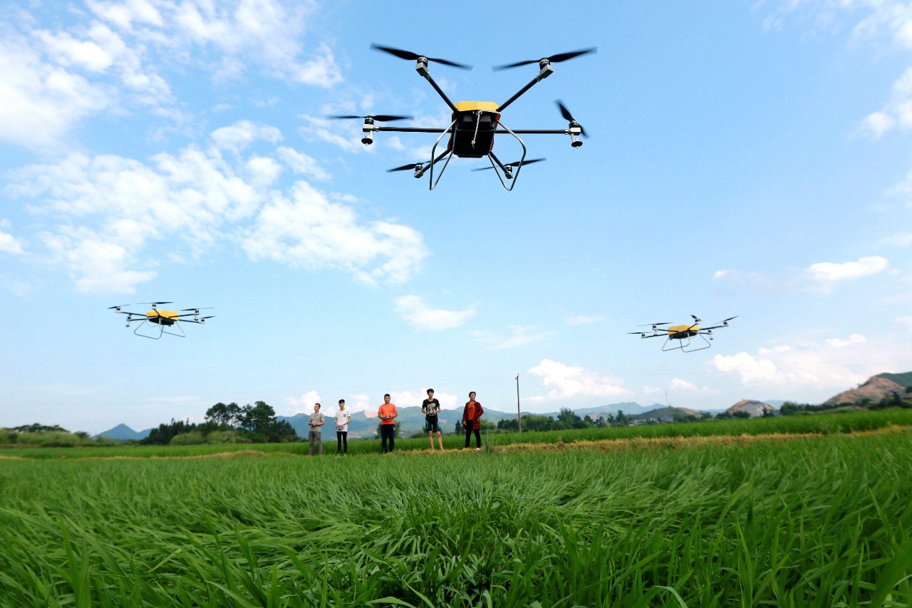 乡村振兴休闲农业概念股,估值低的农业股