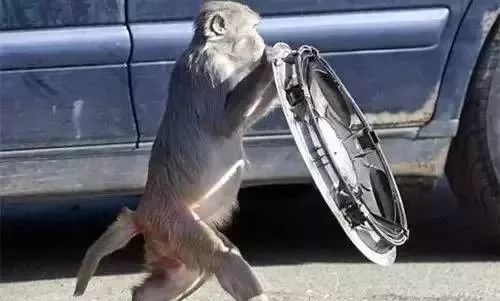 揭发史上最致命的旅游骗局 (国外旅游骗局大揭秘)