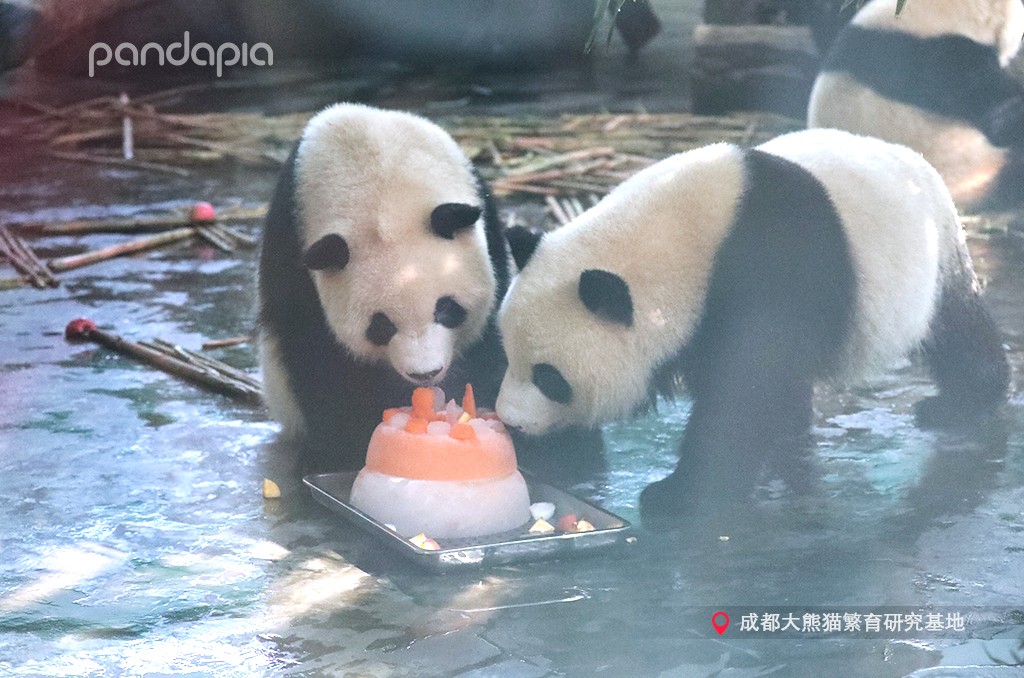 做塑料姐妹,真正的塑料姐妹是什么样的