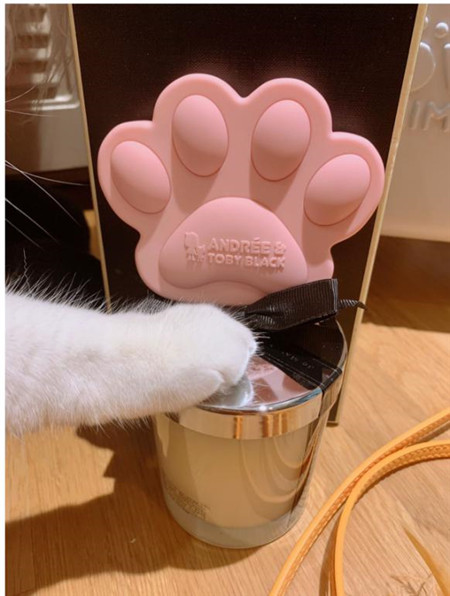 杨幂街拍香奈儿金色包包,杨幂街拍女王