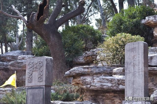 僧为帝,帝亦为僧,数十载衣钵相传,正觉依然皇觉旧