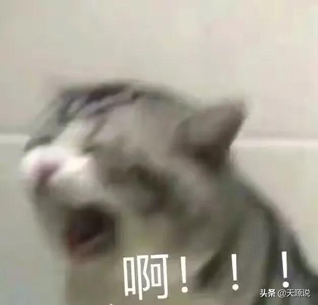 天源说：鉴定之，眼学和微观学……