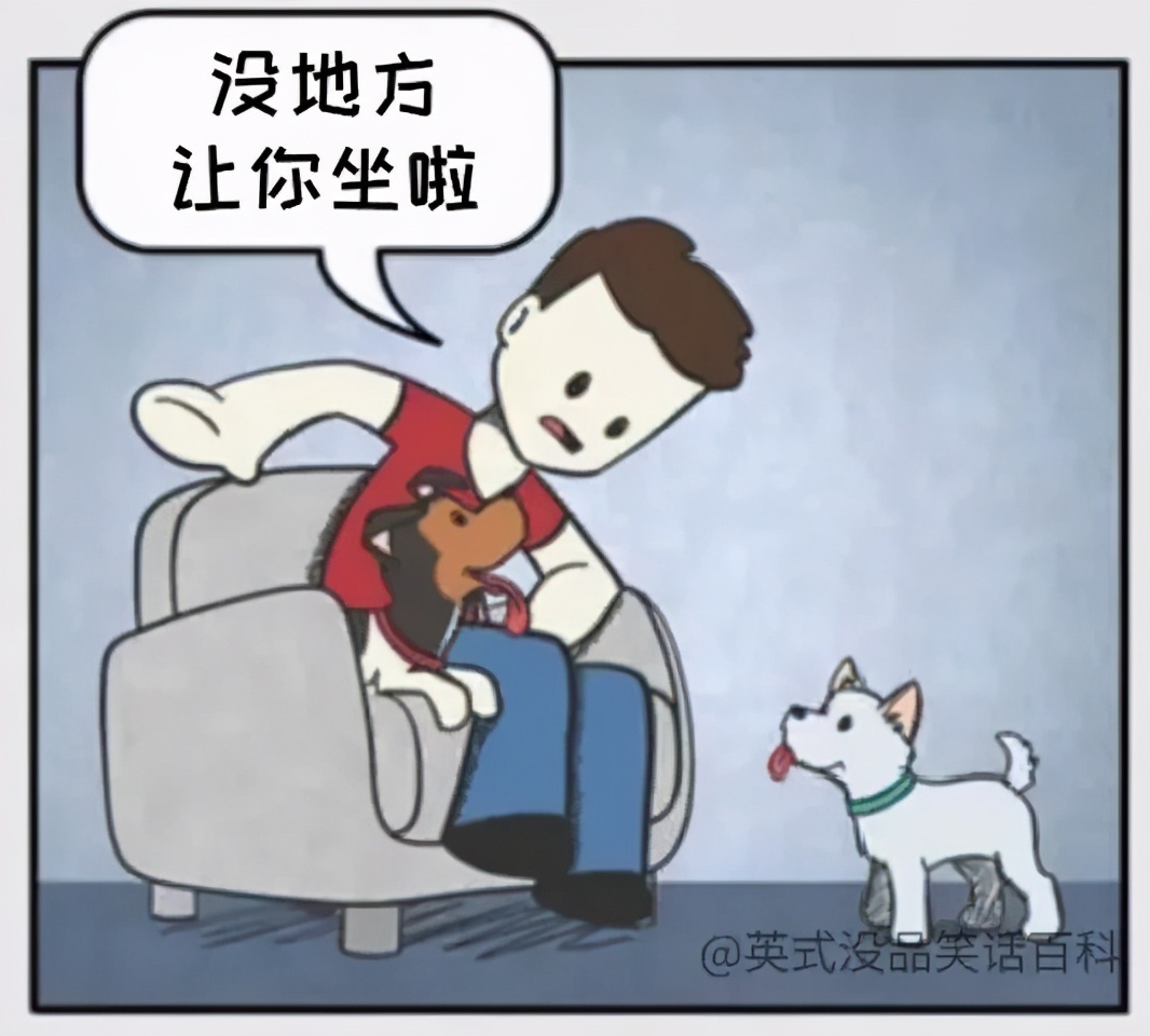 猫和铲屎官漫画全集,铲屎官和狗子的漫画