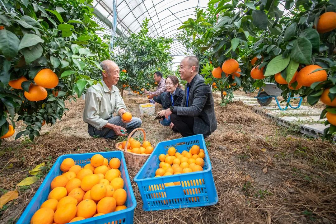浙江南浔：“您点题我跟进”派驻监督靶向发力