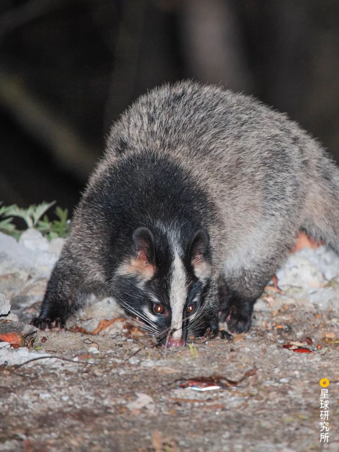 医生和病毒作战,我们如何对付病毒
