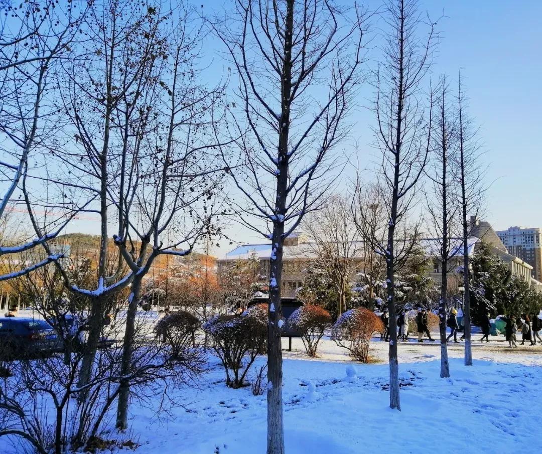 辽宁省民办大学（二）大连东软信息学院