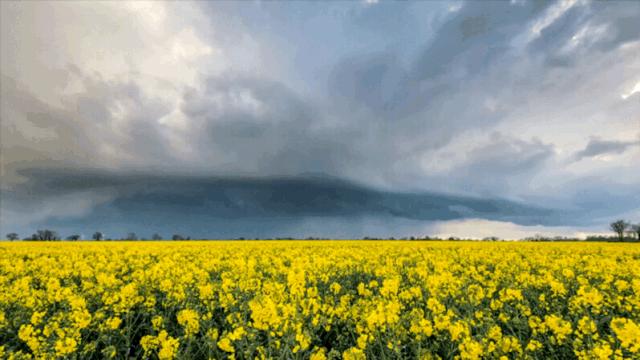 汉中周边踏青的好地方有哪些,汉中乡村游秘境