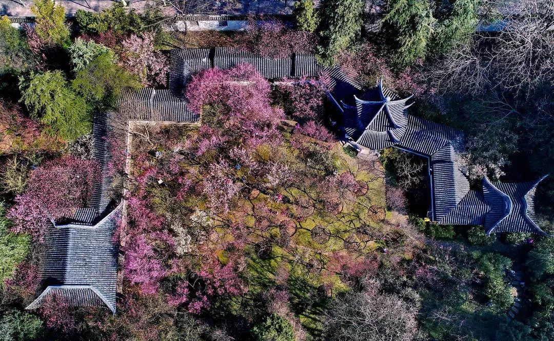 苏州徒步踏青打卡路线推荐,苏州景色最美的山徒步