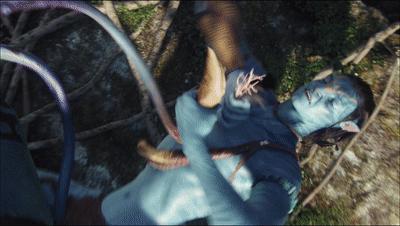 阿凡达最新彩蛋,阿凡达你不知道的隐藏细节