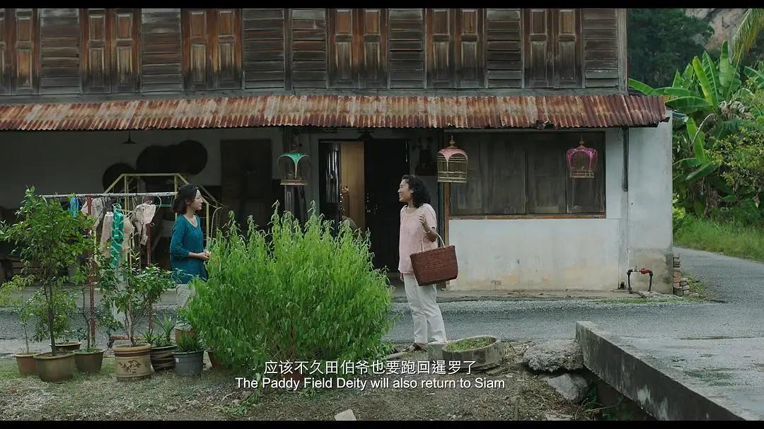 有关《南巫》的多重意境的解构，都在这里了