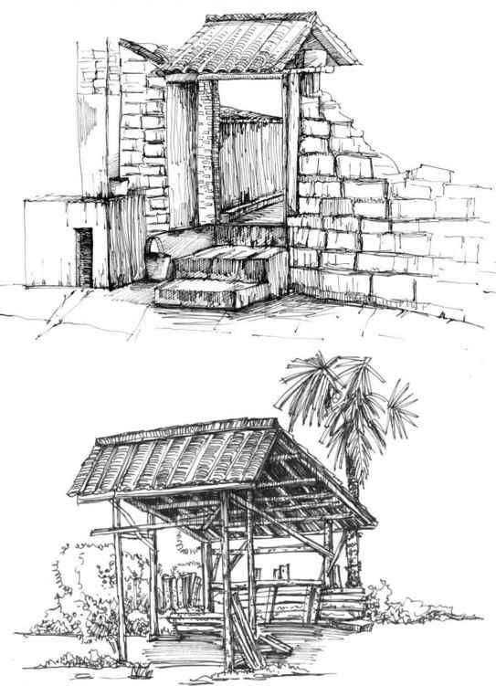 速写风景初学者入门教程,速写风景初学者入门教程植物
