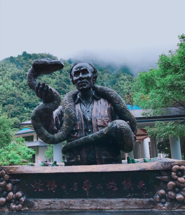 蛇中大熊猫是什么蛇,一条蛇价值100万