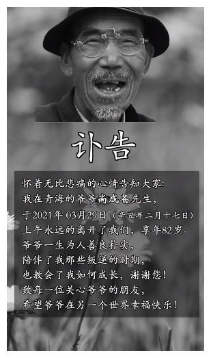 变形计杨桐的近况,变形计杨桐网红现状