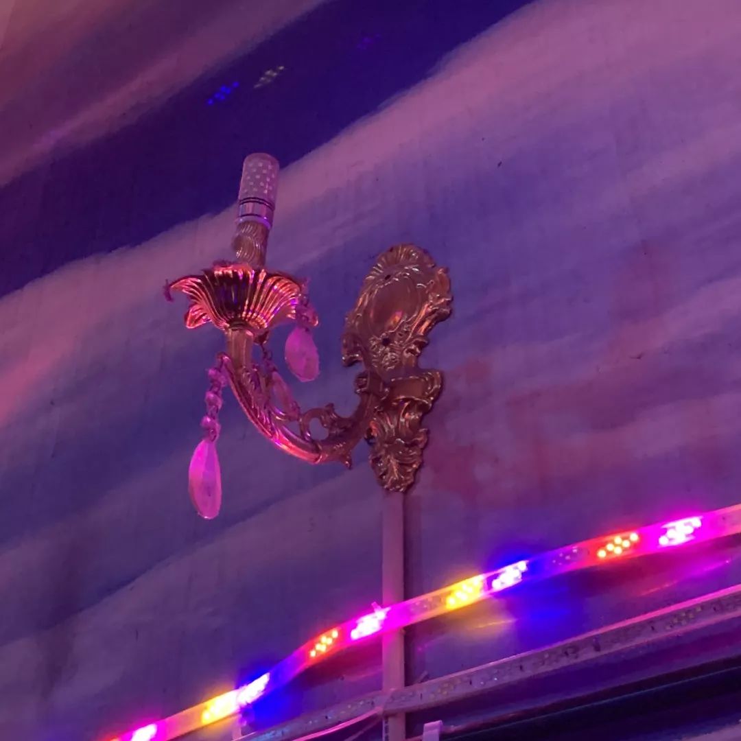 上海有名的老年人舞厅,上海市老年舞厅