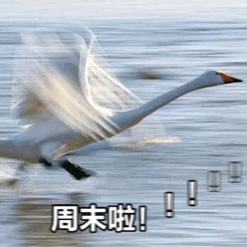 气垫推荐公认好用第一名黑黄皮,气垫大牌干皮推荐