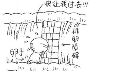 为什么有的人人流三次还能生孩子,为什么有的人流产