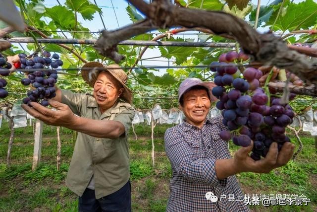 诗画鄠邑摄影大赛,鄠邑区诗画