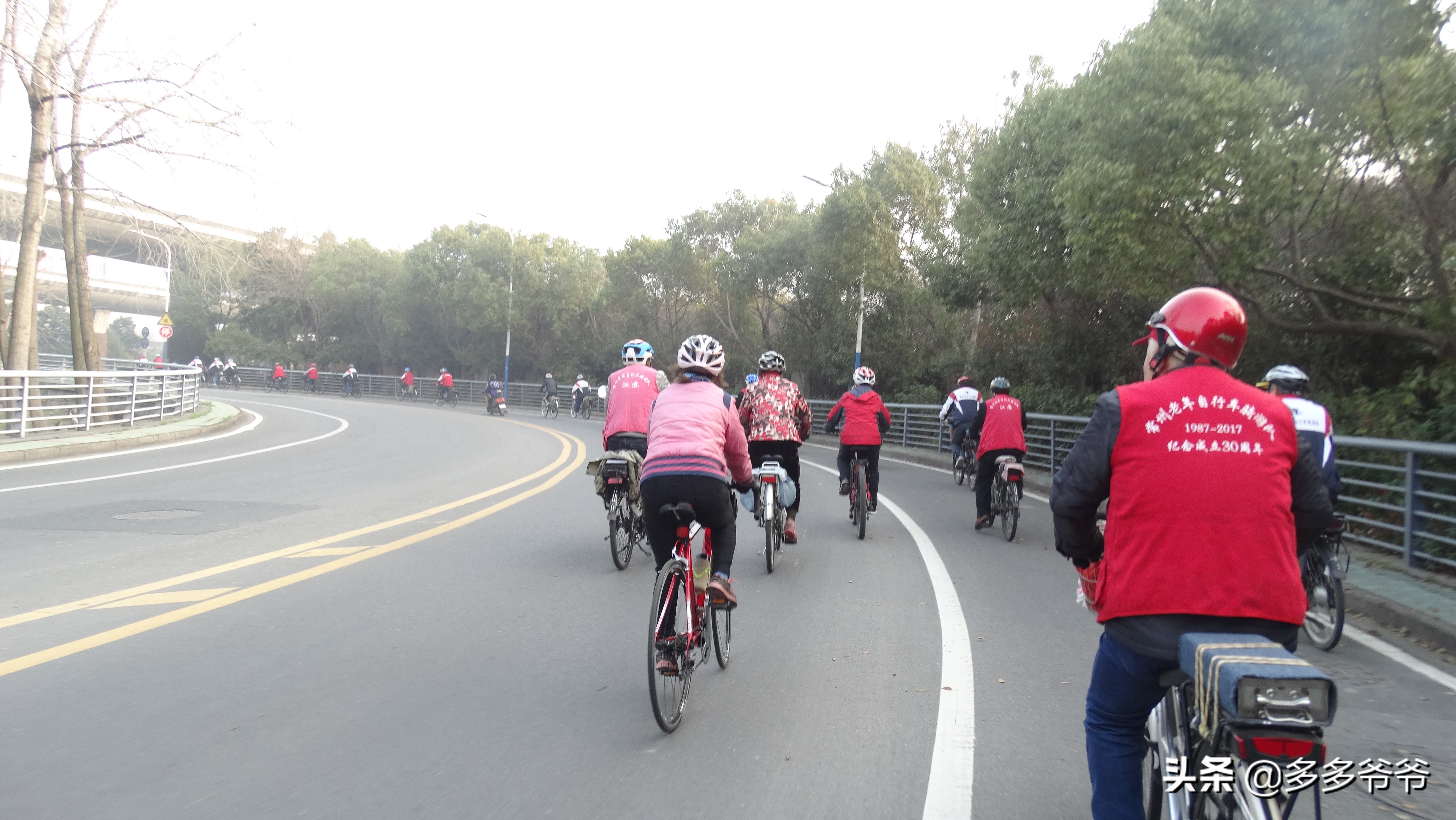 常州赏花的地方,常州附近5公里内公园免费景点