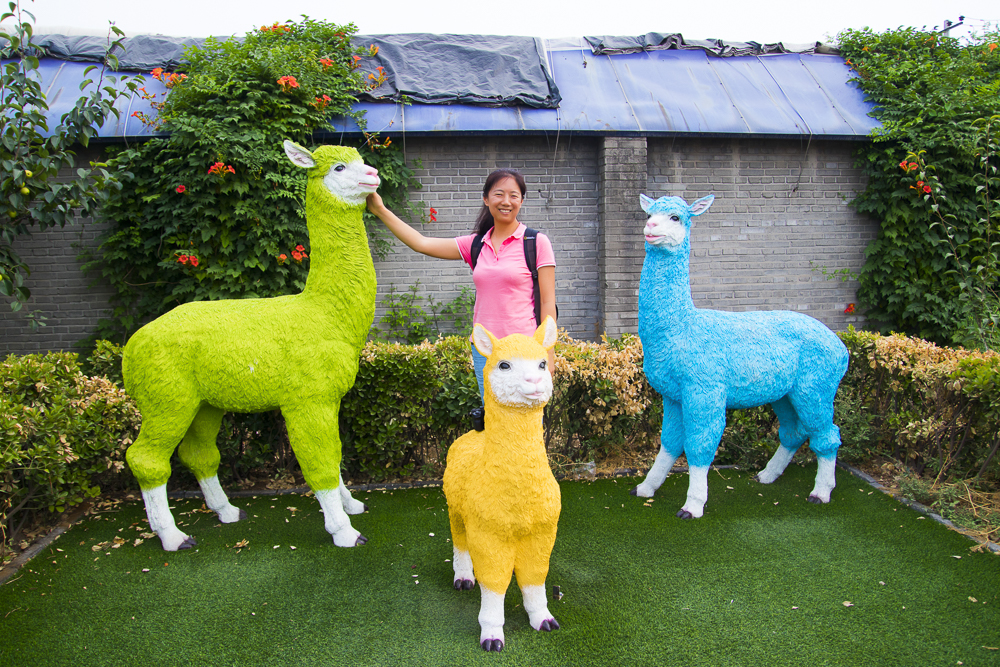 #毕业旅行啦#石家庄慧灯庄园，夏日里寓教于乐爽歪歪