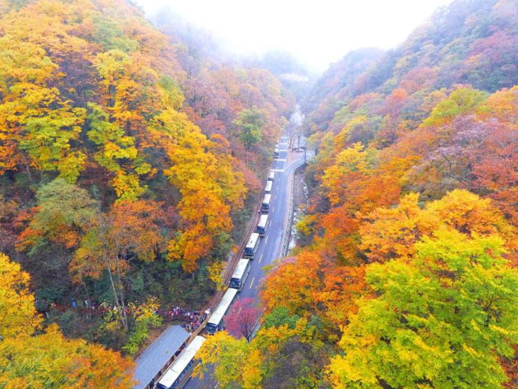 巴中光雾山红叶的最佳时间,红叶谷打卡地