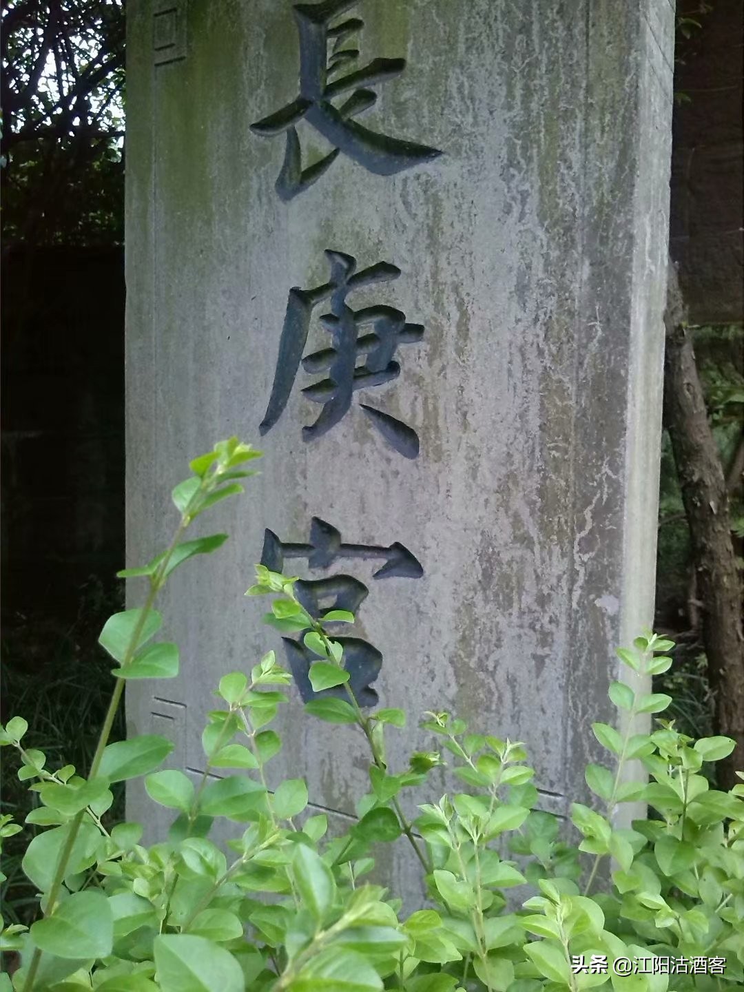 老泸州跟泸州老窖,老泸州与泸州新区