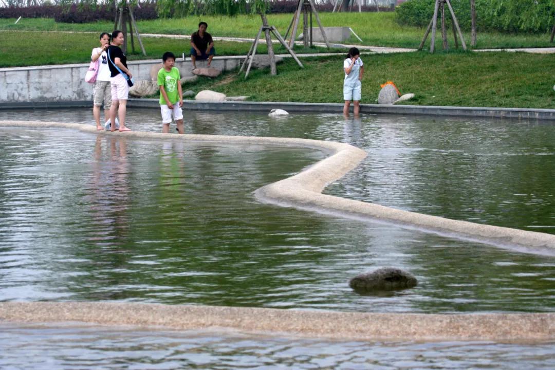 合肥市政务区的天鹅湖介绍,合肥天鹅湖设计