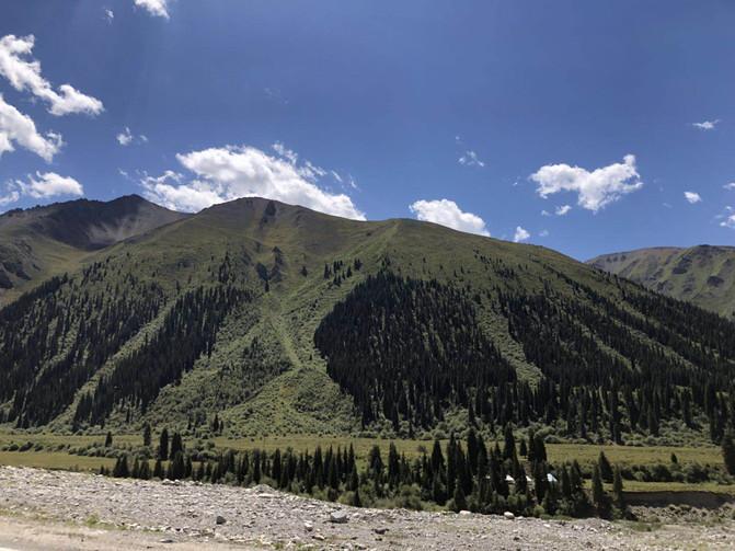 亲子游3天2晚郑州,暑假遛娃郑州