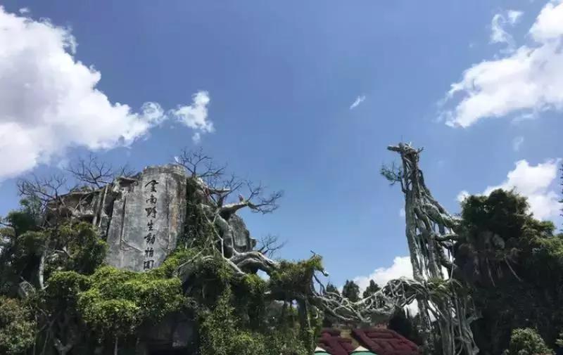 昆明玻璃栈道有哪些,昆明景点之玻璃栈道