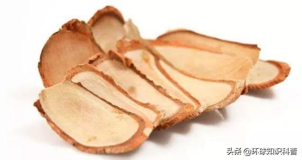 马来西亚必买十大特产零食,去马来西亚必买的小吃