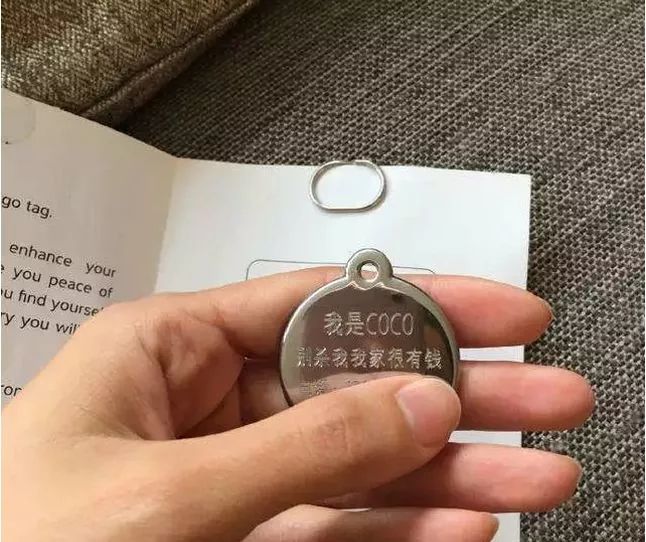 爱宠走失寻回,寻回丢失宠物的高效方法和技巧