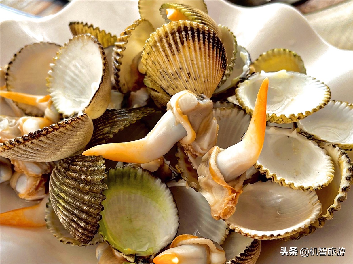 日照渔家乐介绍,日照海边渔家乐吃住一体价格