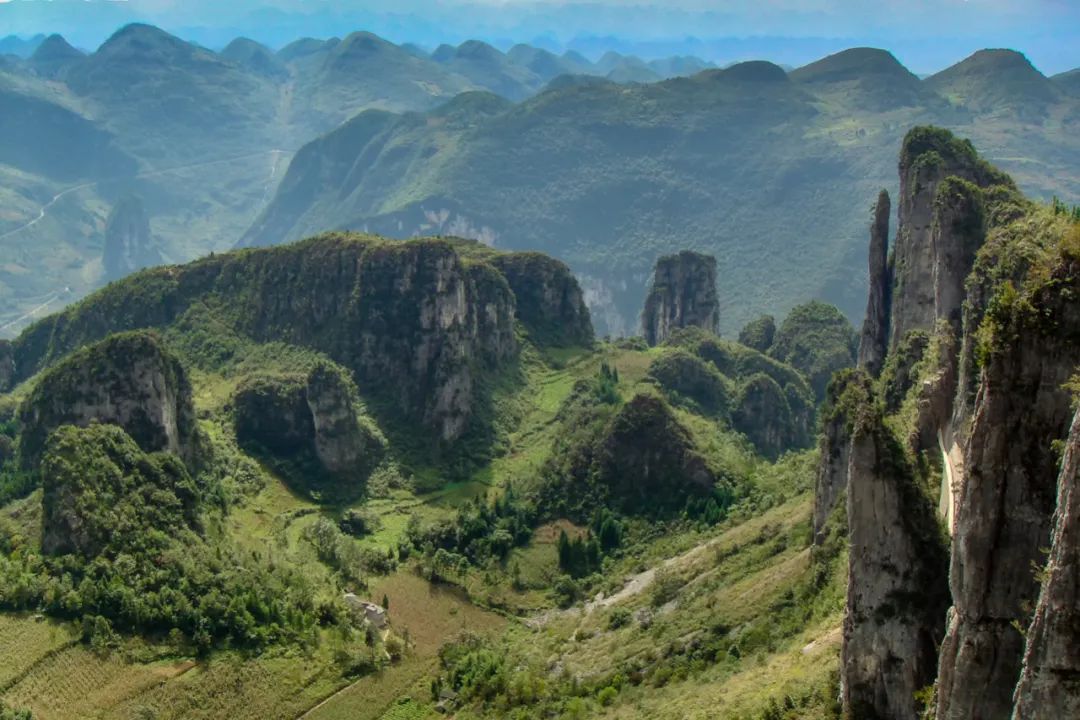 避暑胜地都躲不过45度的高温,各地避暑美食有哪些