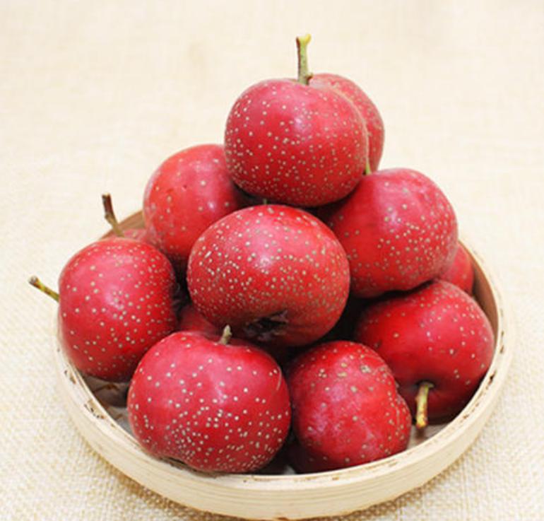 山楂白粉病什么时候打药,山楂果树白粉病最快的治疗方法