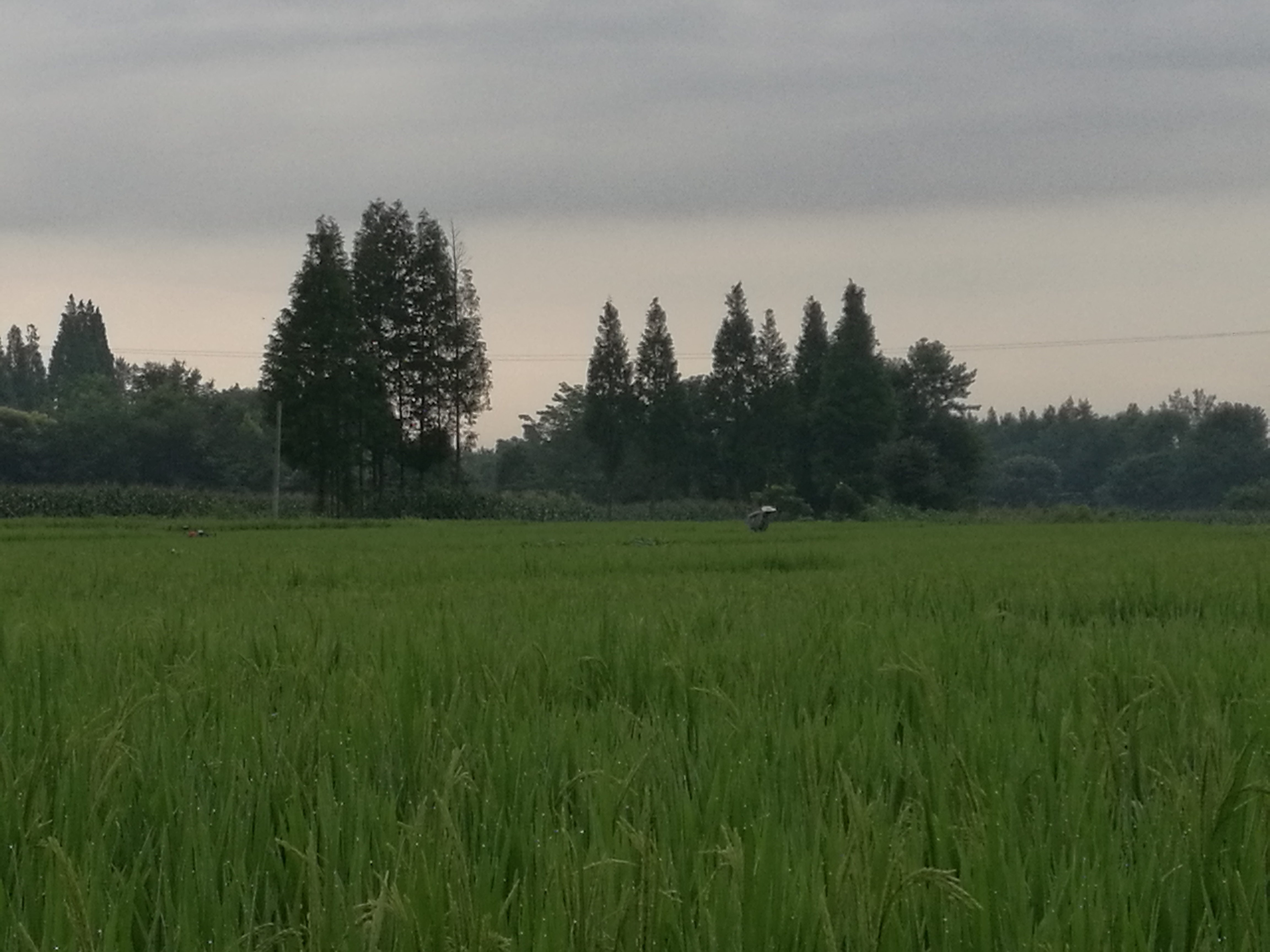 夏天去青城山避暑好吗,夏天周末青城山避暑玩水
