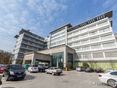 徐州市五星级酒店名单,徐州市星级酒店有哪些