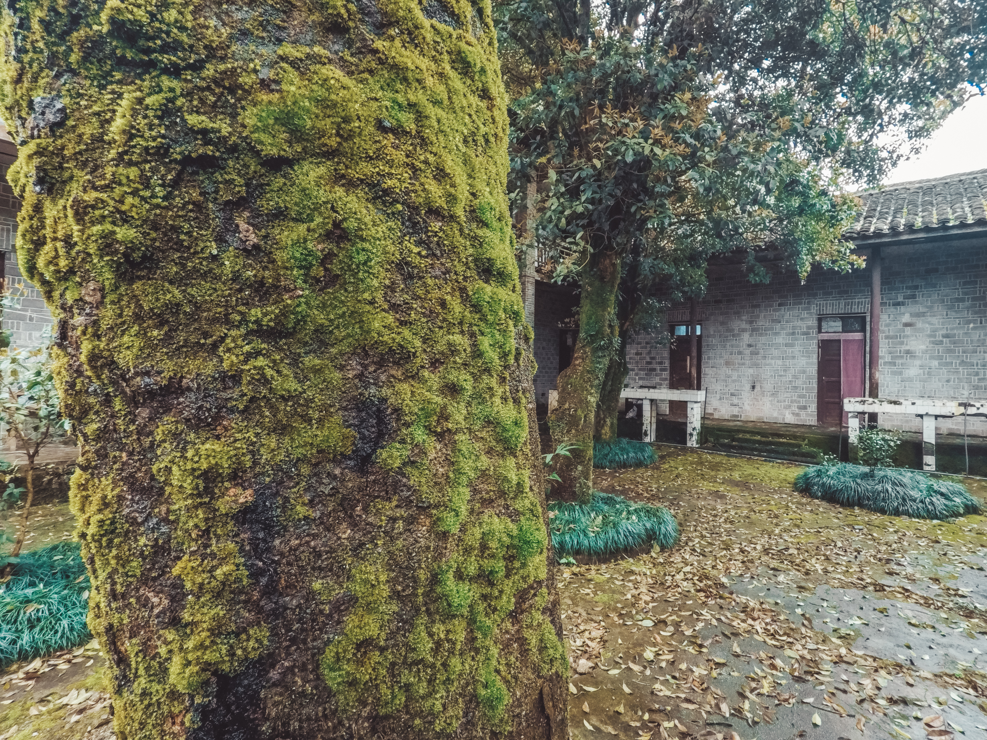 绿水青山的垦殖场