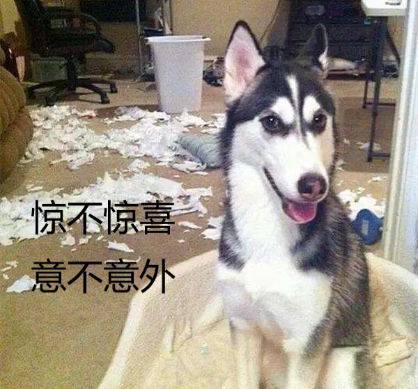 晚上睡不着看这八句话,晚上睡不着看电影的句子