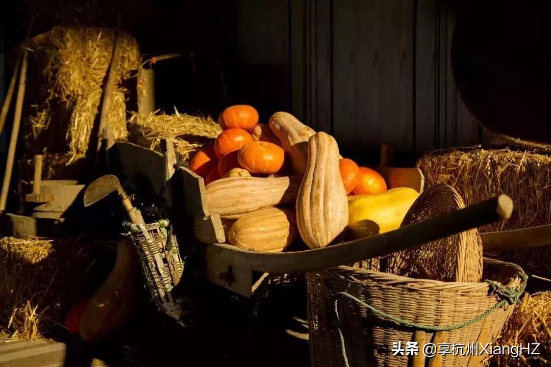 柏悦纯素之宴，回归“園·味”，一场原醇味蕾之旅